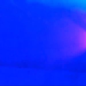 Meet your Posher, Evelyn